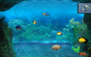 рыба, рыбы, подводный мир, вода, море, океан, часы, время