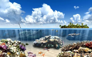 underwater, dolphins, fish, corals, sea, ocean, water, tropical, nature