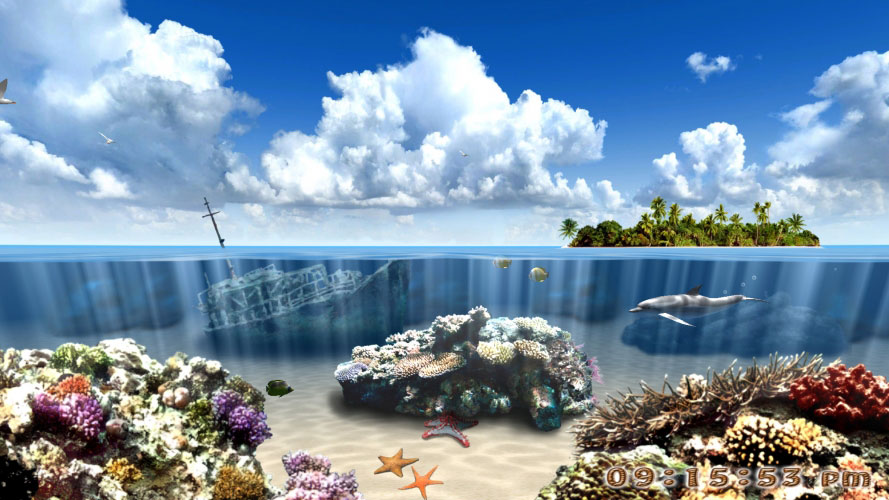 underwater, dolphins, fish, corals, sea, ocean, water, tropical, nature