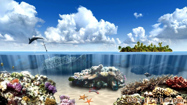 Living Dolphins 3D Screenshot