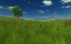 grass, summer, wind, nature, tree
