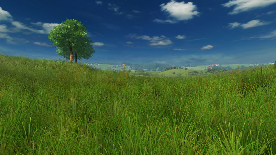 grass, summer, wind, nature, tree