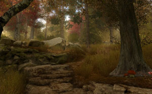 autumn, fall, forest, trees, creek, wood