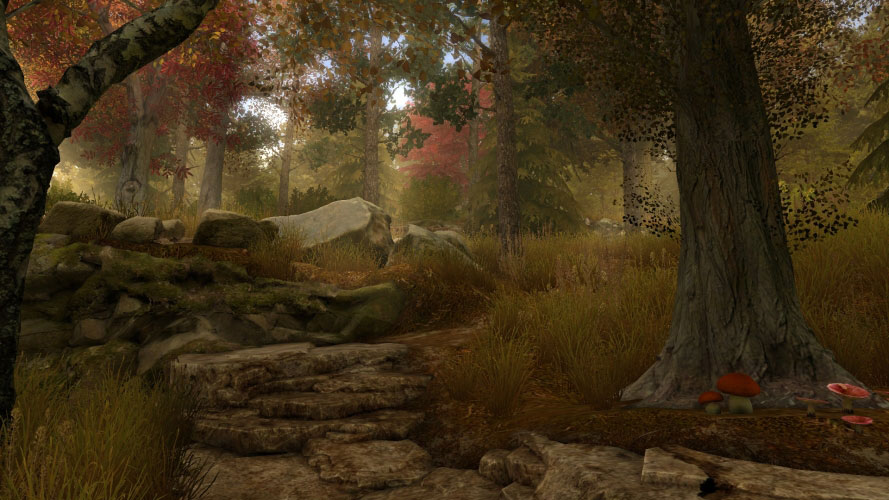 autumn, fall, forest, trees, creek, wood