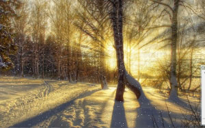 snow, xmas, christmas, new year