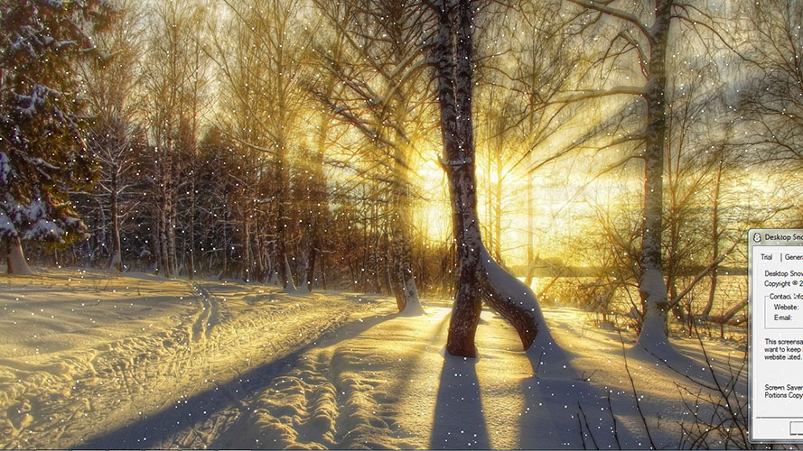 snow, xmas, christmas, new year