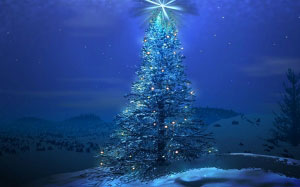 christmas, xmas, new year, christmas tree, landscape, winter, snow, night, star, forest