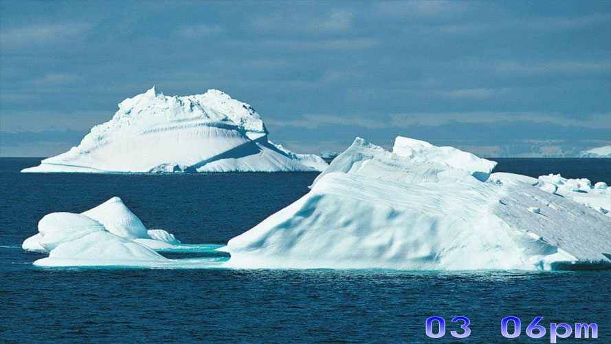 north pole, winter, north, photos, nature, white bears, penguins, seadogs, icebergs, cold, ocean, landscapes