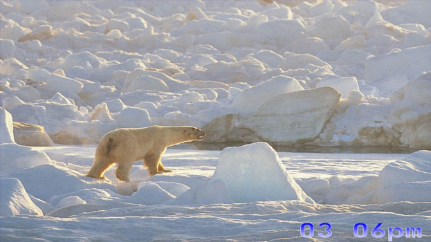 dArt North Pole vol.1 Screenshot