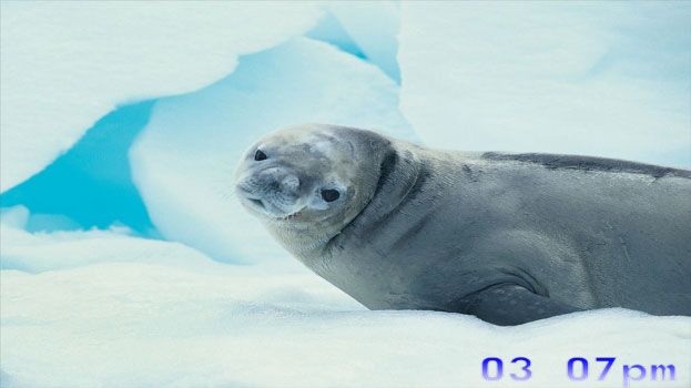 dArt North Pole vol.1 Screenshot