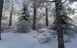 winter, nature, snow, forest, landscape, xmas, christmas, new year, holiday