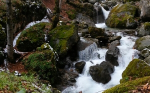 скалы, горы, природа, снег, лес, река, весна, водопад, ручей, поток, вода