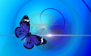 butterfly, animal, insect, abstract, background, modern, stylish, light, lines, bokeh, circle, points, photo art, background image, creativity