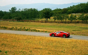 ferrari, race, car, racing, landscape, hill, hill climb, road, countryside