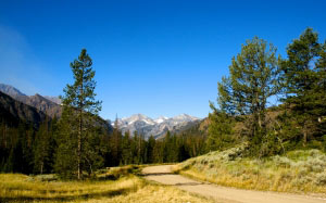 american, west, canyon, cliffs, dirt road, forest, gravel road, mountains, nature, pine trees, united states, valley, wilderness