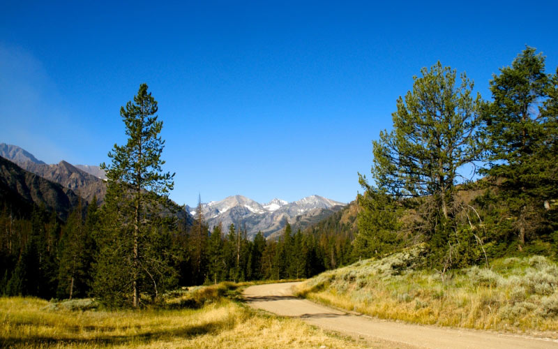 american, west, canyon, cliffs, dirt road, forest, gravel road, mountains, nature, pine trees, united states, valley, wilderness