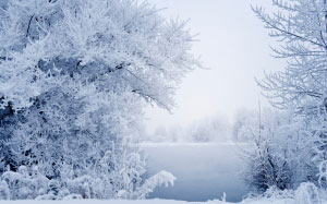 snow, winter, landscape, branches, grass, fog, river, water, frost