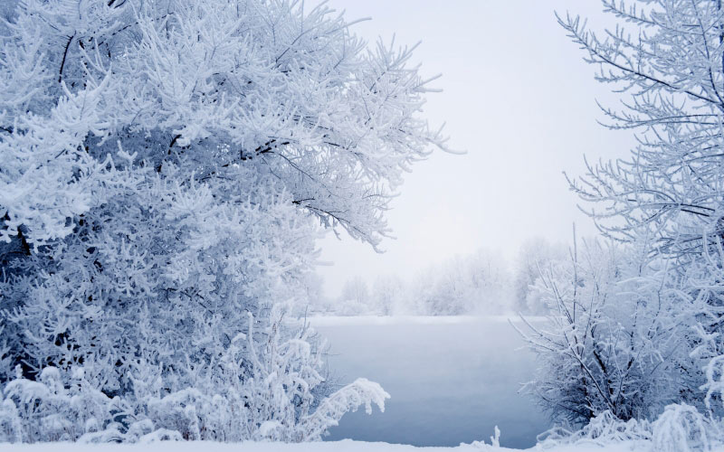 snow, winter, landscape, branches, grass, fog, river, water, frost