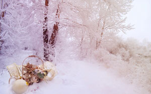 landscape, winter, snow, christmas, decoration