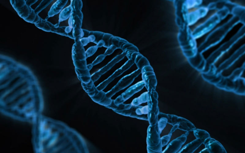 dna, biology, medicine, gene, microbiology