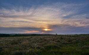 nature, landscape, sunset, evening, meadow, sky