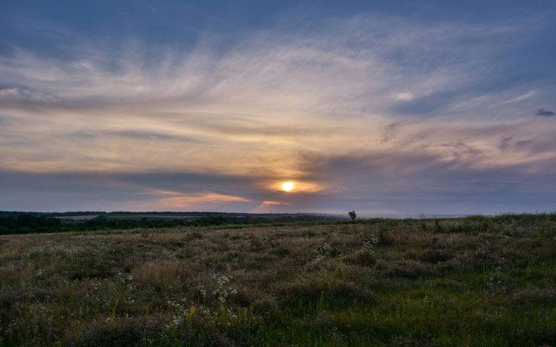 nature, landscape, sunset, evening, meadow, sky