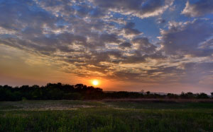 nature, landscape, sunset, evening, meadow, sky, grass, trees, bushes