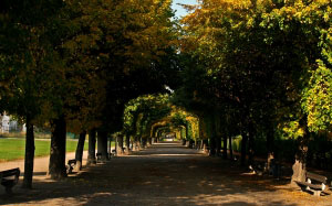 augarten, park, vienna, austria