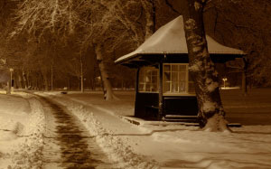 christmas, night, park, season, snow, tree, winter, xmas, cab, booth