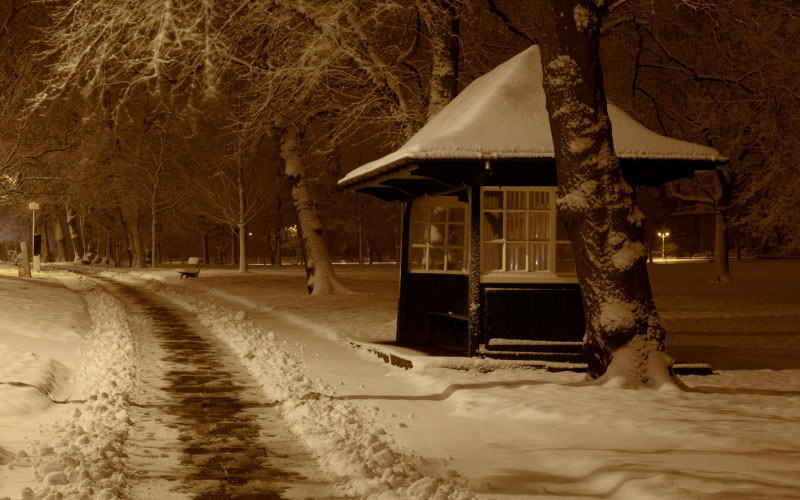 christmas, night, park, season, snow, tree, winter, xmas, cab, booth