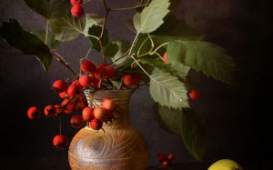 still life, card, postcard, hawthorn, pear