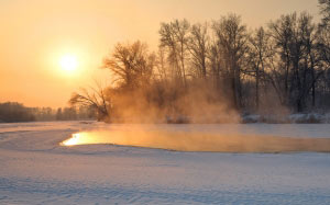 sunset, winter, snow, nature, forest, sun, december, evening, trees, frost