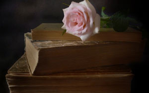 book, still life, rose, flower
