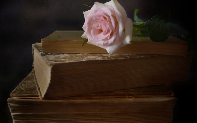 book, still life, rose, flower