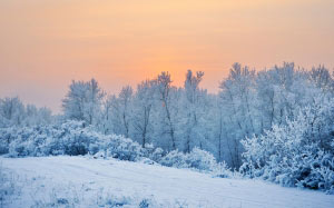 snow, winter, landscape, branches, grass, fog, river, water, frost