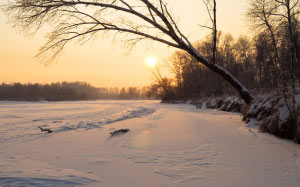 sunset, winter, snow, nature, forest, sun, december, evening, trees, frost