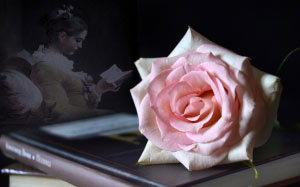 books, rose, flower, flowers
