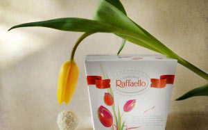 sweet, tulip, flower, flowers