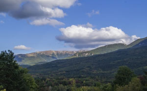 forest, mountains, nature, sky