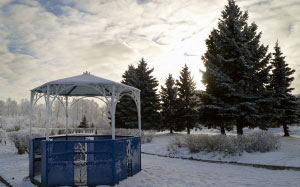 gazebo, city, trees, frost, frost, waterfront, park, landscape, snow, january