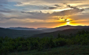 sunset, forest, nature, mountains, bushes