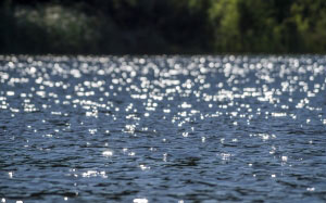 water, lake, nature