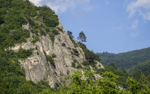 nature, mountains, trees