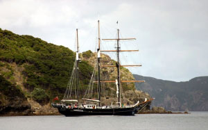 new zealand, sail, sailboat, yacht, sails, ocean, sea, bay, gulf, coast, coastline, shore, shore line, rocks, masts, boat