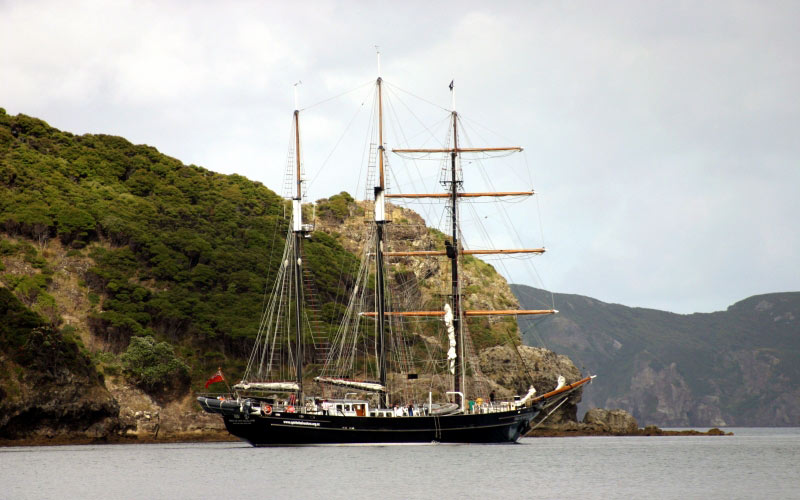 new zealand, sail, sailboat, yacht, sails, ocean, sea, bay, gulf, coast, coastline, shore, shore line, rocks, masts, boat