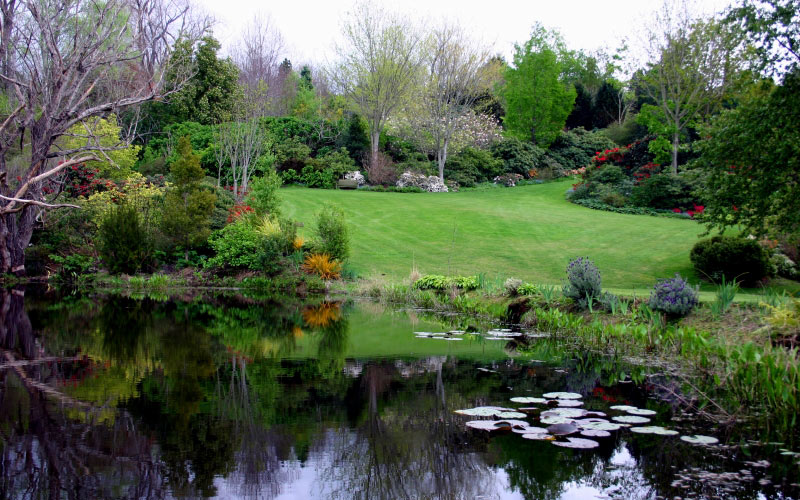 garden, park, pond, lake, trees, flowers, flower, bloom, beds, lawn, hill, lilly, lillies, lillypad