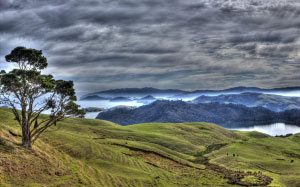 new zealand, coromandel, kennedy bay, bay, ocean, sea, coastline, vista, scenic, mountains, shoreline, landscape