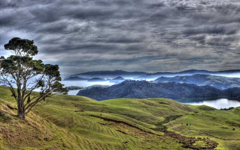new zealand, coromandel, kennedy bay, bay, ocean, sea, coastline, vista, scenic, mountains, shoreline, landscape