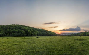 sunset, forest, meadow, nature, mountains, landscape
