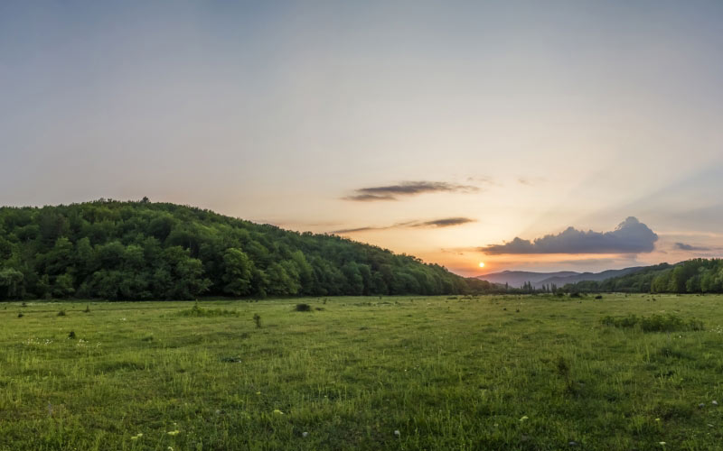 sunset, forest, meadow, nature, mountains, landscape